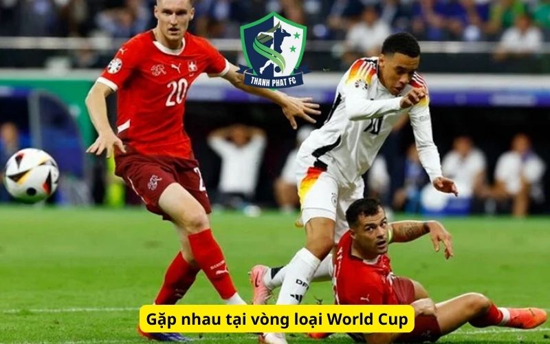 Gặp nhau tại vòng loại World Cup