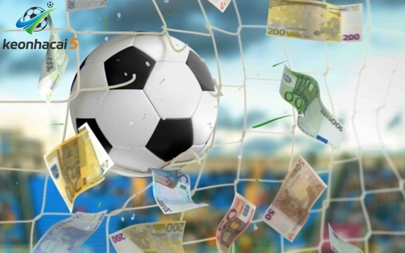 Vai trò của huấn luyện viên và cầu thủ chủ chốt