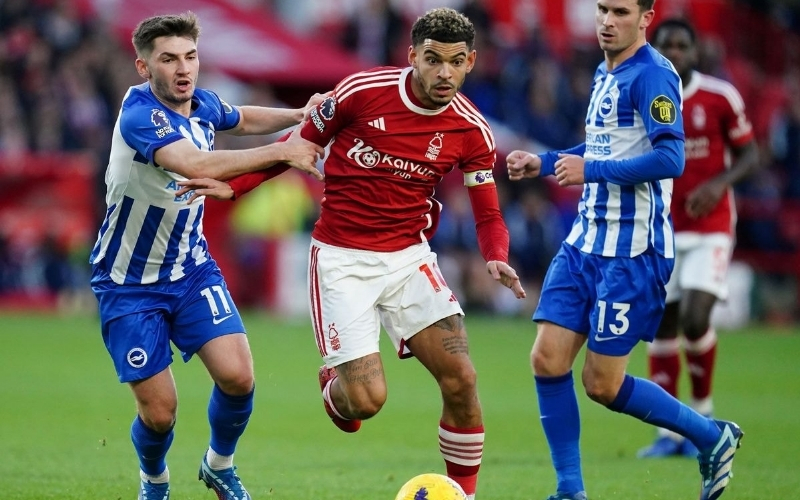 Nottingham Forest - Brighton (0-2): Tiếp Tục Bay Cao: Brighton Củng Cố Vị Thế Châu Âu.