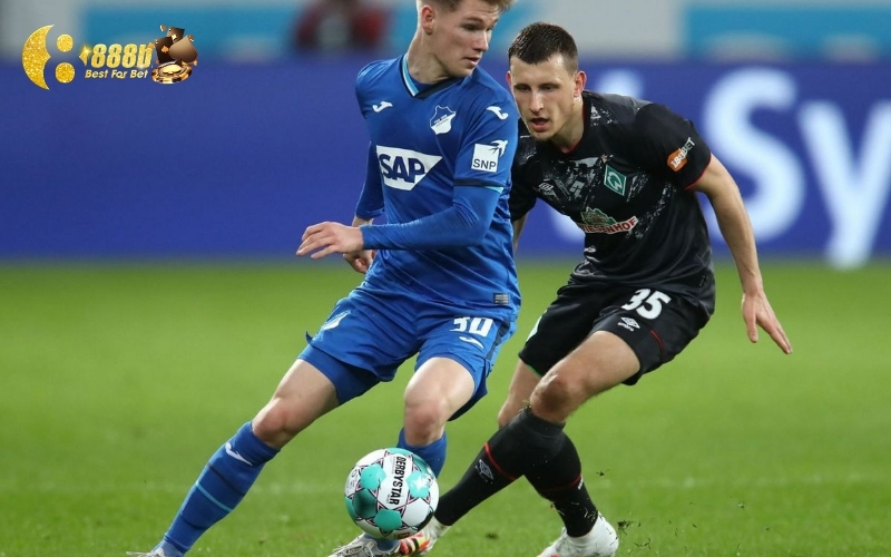 Tỷ lệ cược và dự đoán kết quả